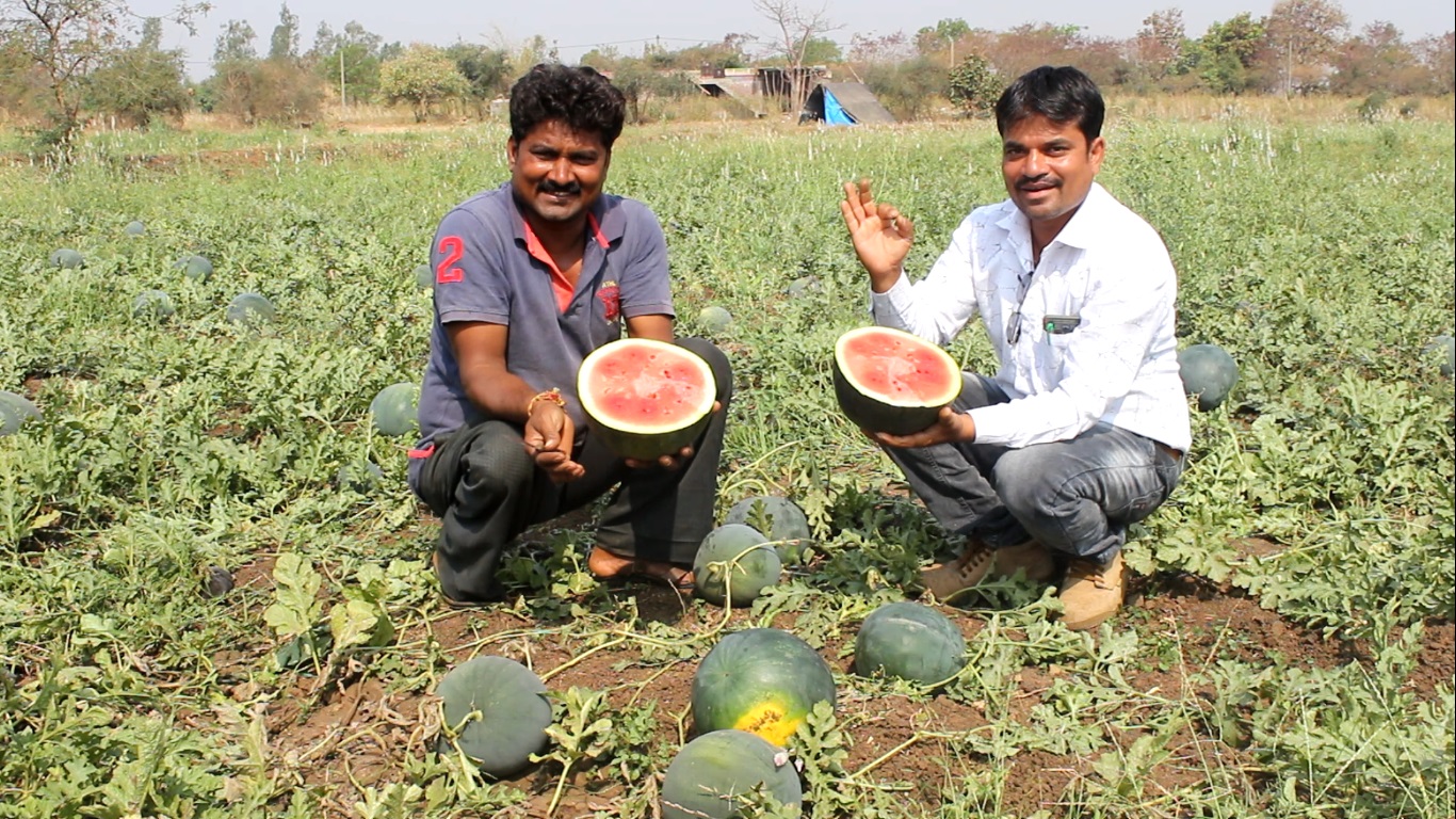 institutional support 4